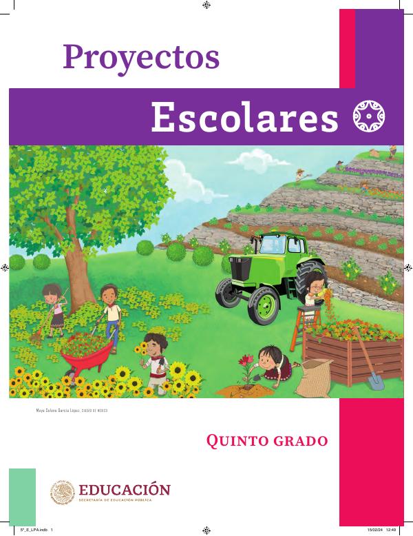 Proyecto Escolar 5° Grado